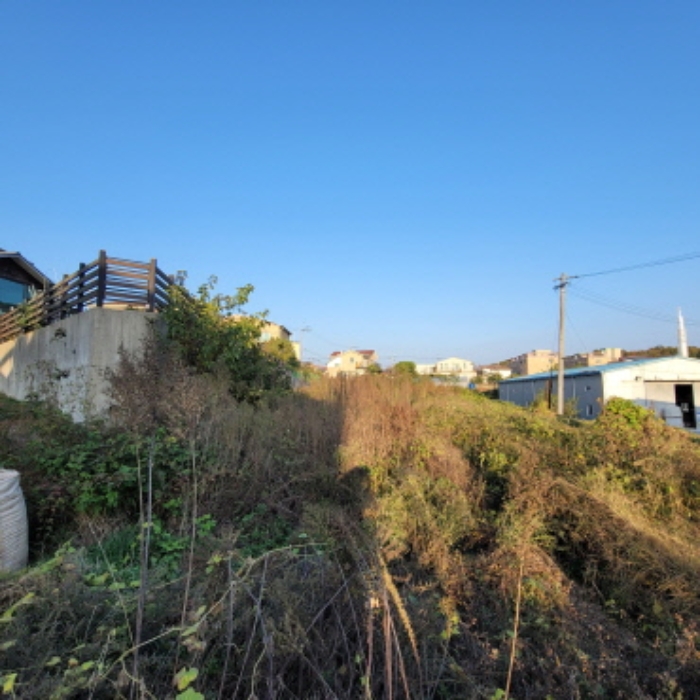 목록1 토지 전경