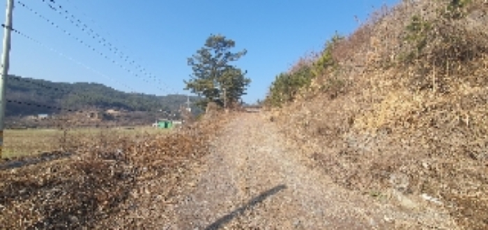 본건 진입로[본건5 토지]