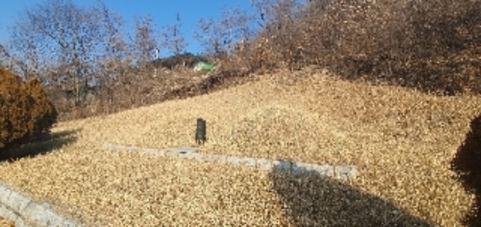 본건3 지상 제시외 분묘