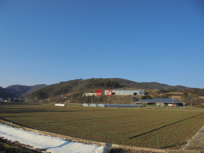 본건 및 주변 전경