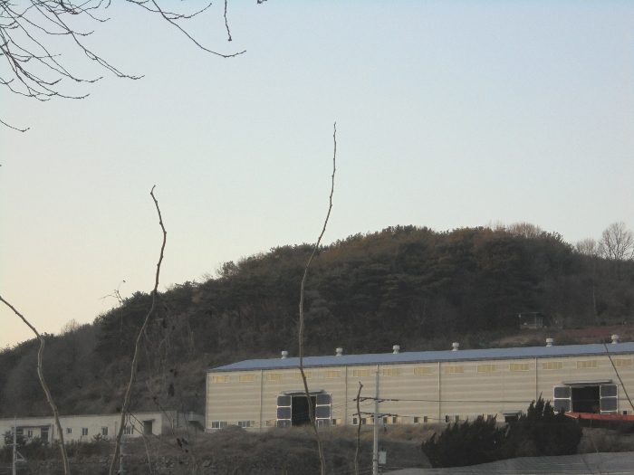 기호5 토지 원경