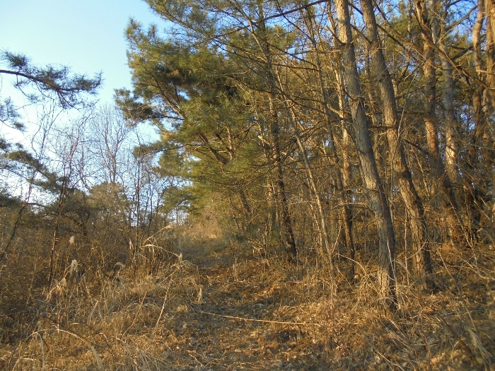기호5 토지 전경