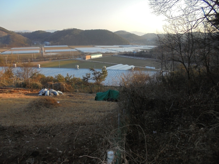 기호5 토지 동측부분 및 인접지(530번지) 등 전경