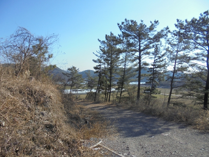 기호6 토지 및 지상의 제시외수목 등 전경