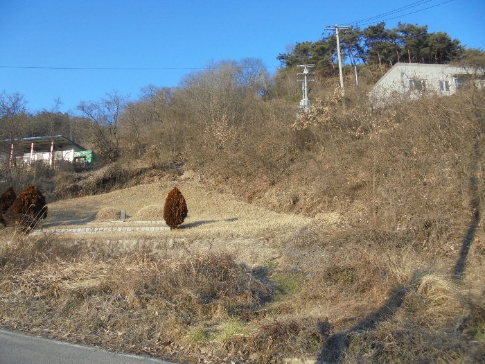 기호3 토지 및 지상의 제시외분묘 등 전경