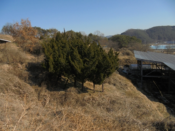 기호4 토지 및 지상의 제시외수목 등 전경