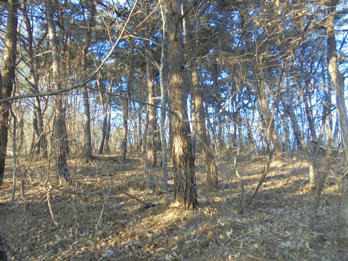 기호5 토지 전경