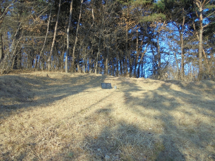 기호5 토지 및 지상의 제시외분묘 등 전경