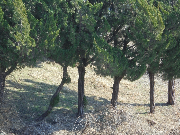 기호4 토지 및 지상의 제시외분묘 등 전경