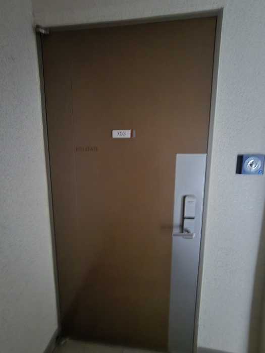 703호 현관 출입구