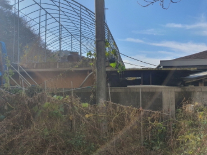 현장사진(건물 후면)