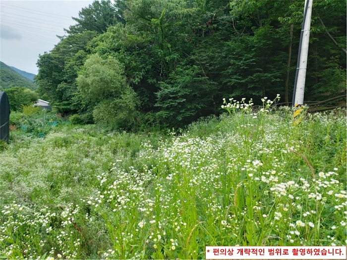 기호16 토지 (북서측에서 촬영)