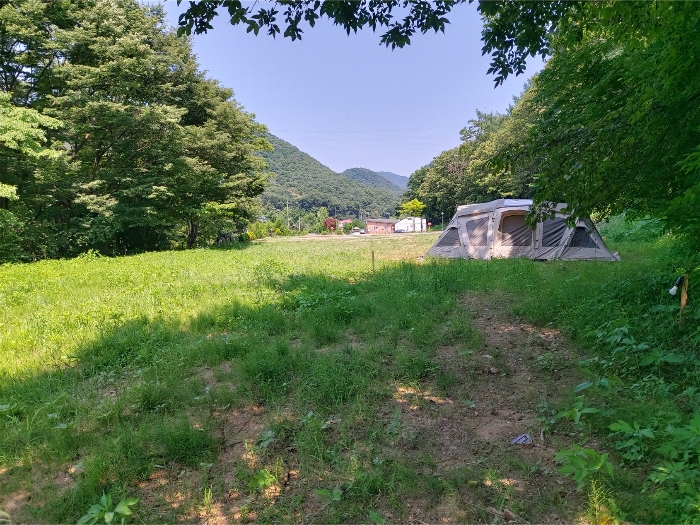 기호5, 6 토지 (서측에서 근접 촬영)