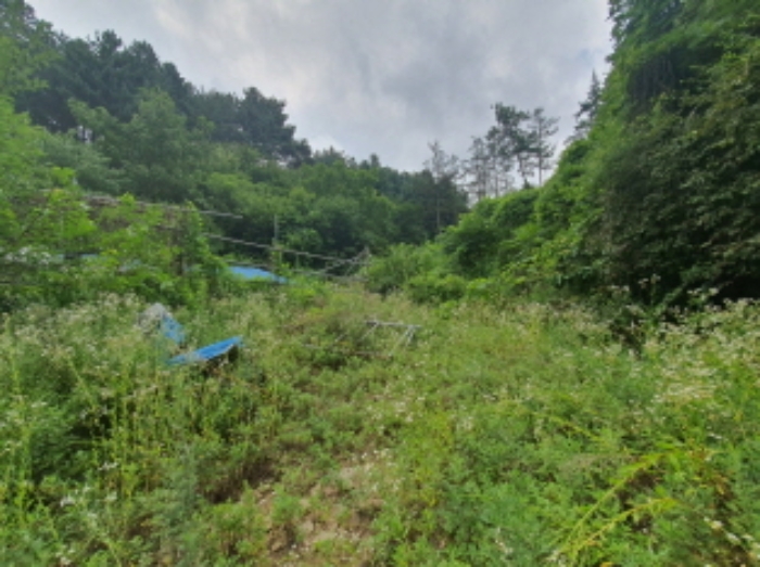 현장사진(도수리 산37, 산37-5, 산37-3, 산18-3, 산18-5, 토지 부근 전경)