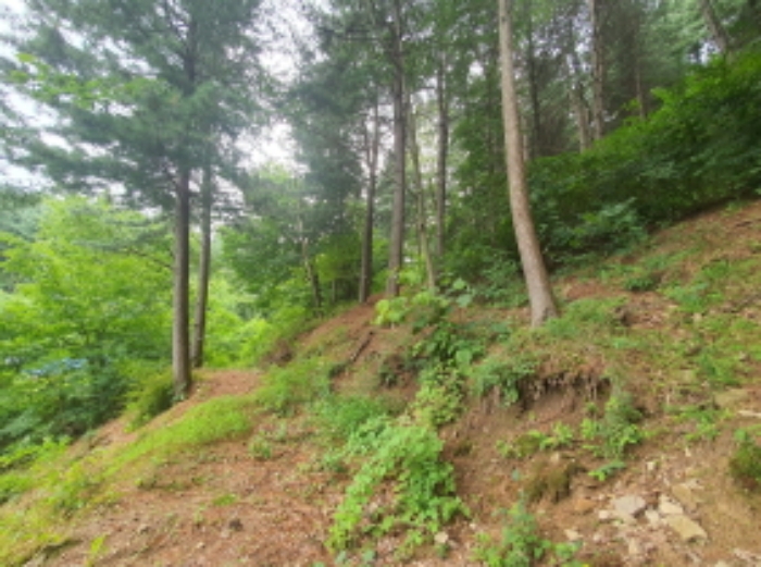 현장사진(18-2, 18-5, 토지 부근 전경)