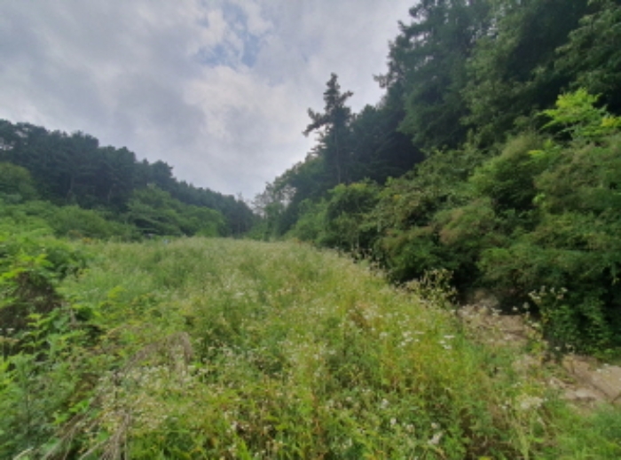 현장사진(도수리 산37, 산37-5, 산37-3, 산18-3, 산18-5, 토지 부근 전경)