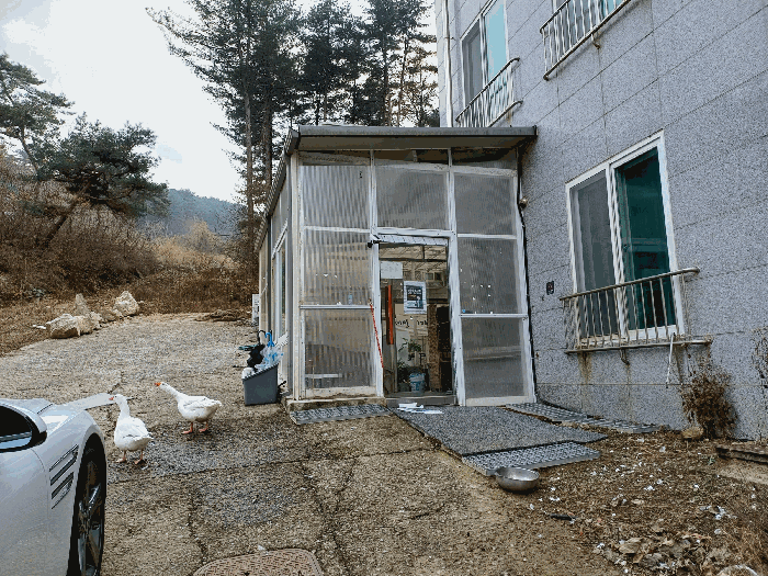 본건 건물(기호4) 출입구