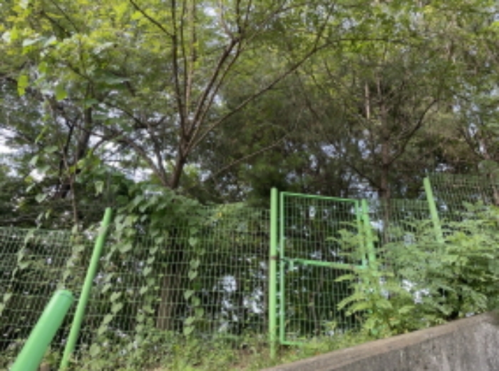 분당동 산 43-19 현장부근 사진