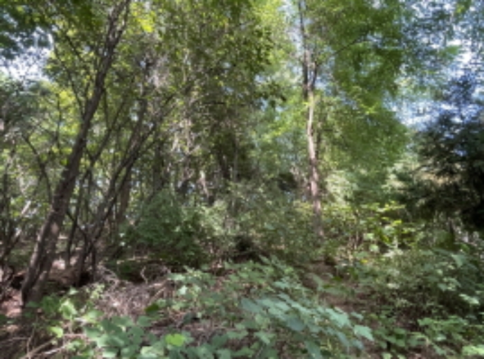 분당동 산 43-19 현장부근 사진