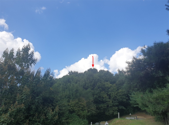 본 건 전경
(남측에서 촬영)