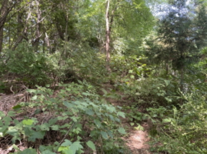 분당동 산 43-18 현장부근 사진