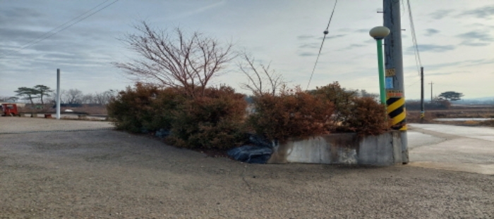 목록1 토지 일부(화단) 전경