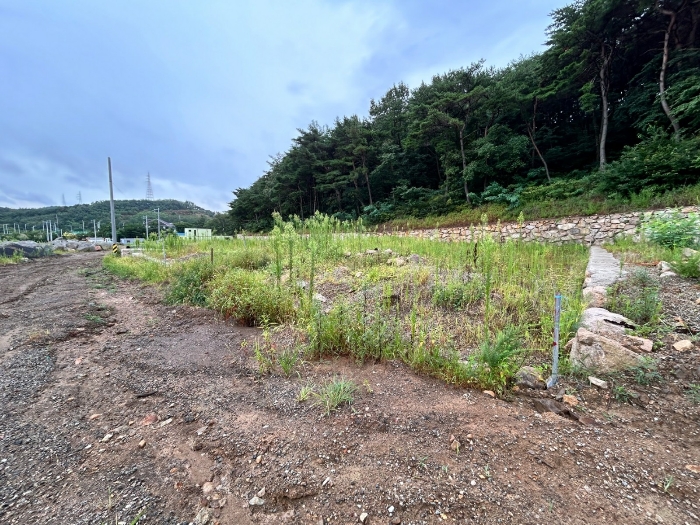 기호 8) - 13) 북측 전경