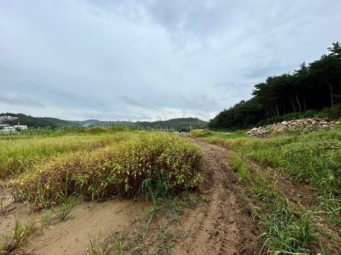 기호 6) 남동측 전경