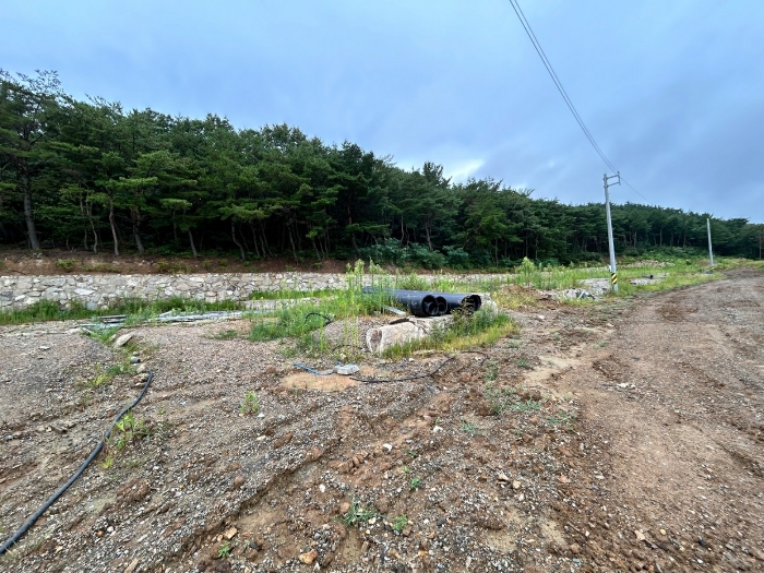 기호 8) - 13) 남동측 전경