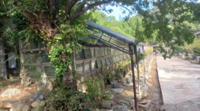 목록 10및 제시외