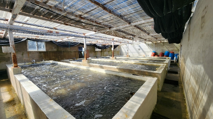 본건 기호(6-가)