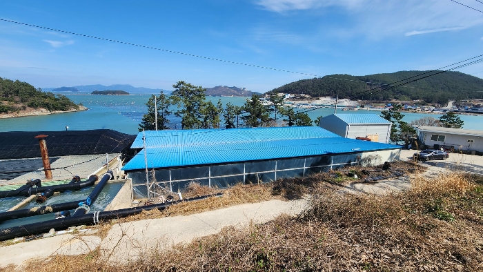 본건 기호(1,2,3,4)