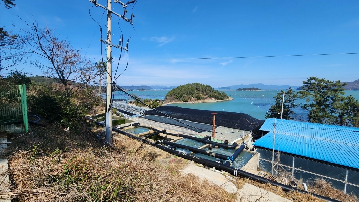 본건 기호(1,2,3,4)