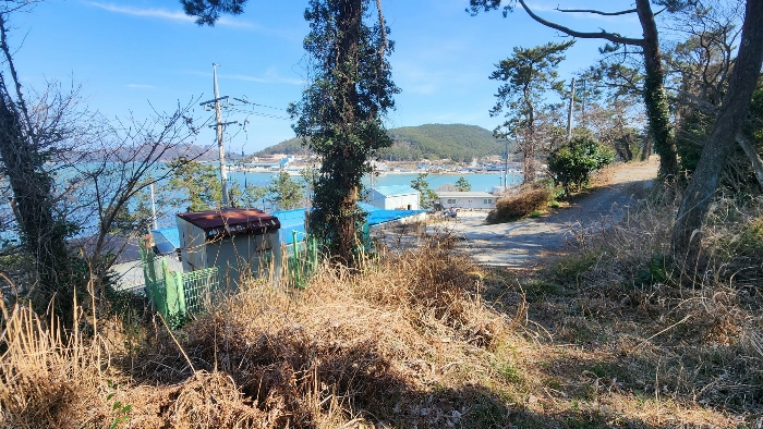 본건 기호(19,27)