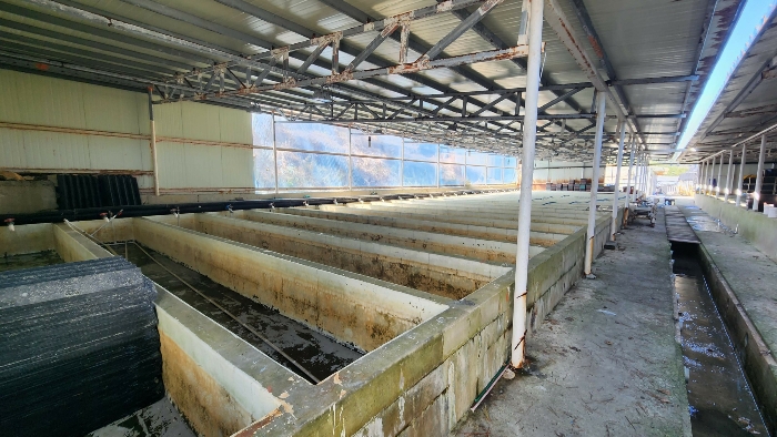 본건 기호(8-다)