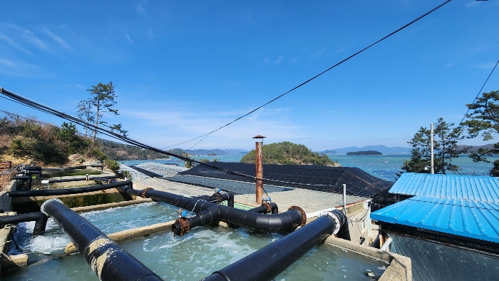 본건 기호(1,2,3,4)