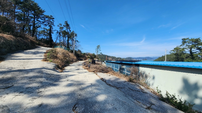 본건 기호(19,27)