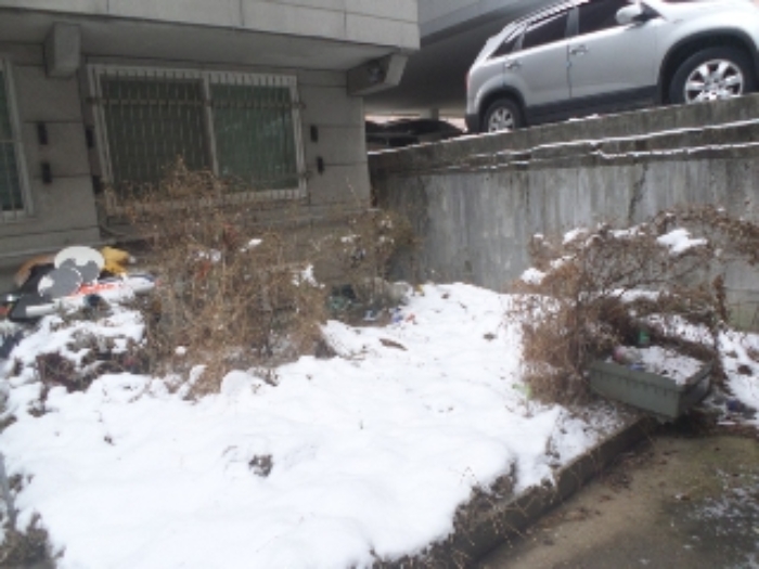 목록1. 지상 소형 정원 내 수목 4그루