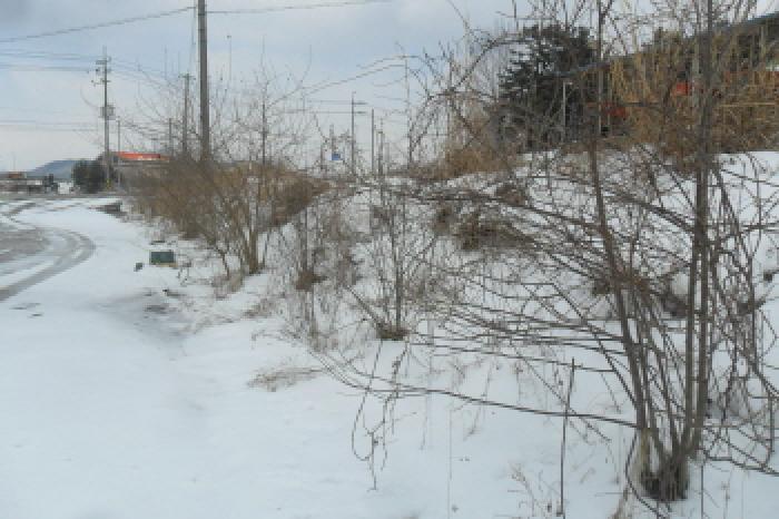 부동산표시 제1호