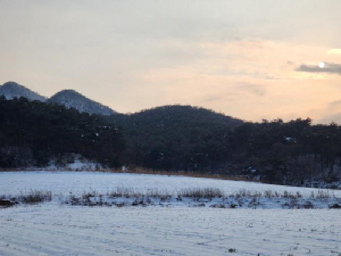 부동산표시 제1호 ~ 제14호