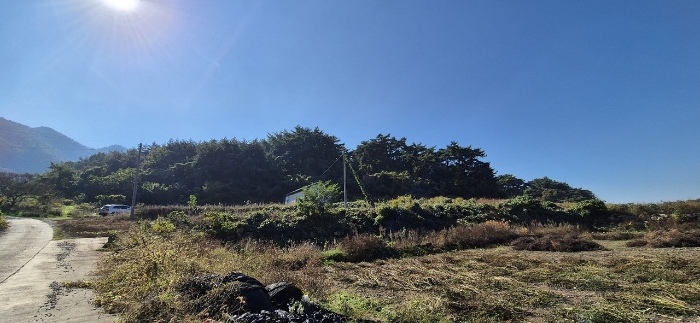 기호(12-20) 전경