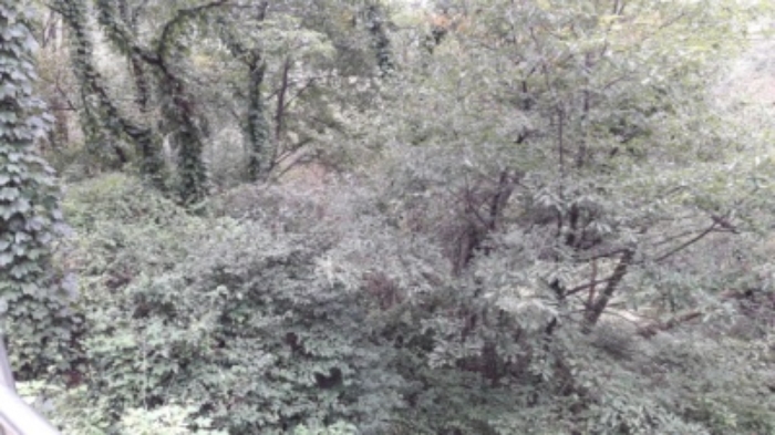 본건 목록1. 부동산(평창동 425-2)