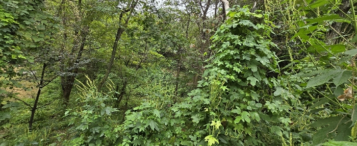 본건 일련번호 4번 전경