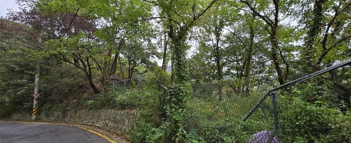 본건 일련번호 1 토지 전경