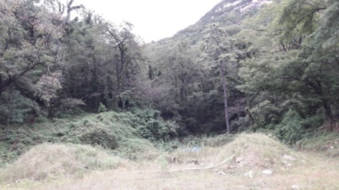 본건 목록3. 부동산(평창동 425-4)