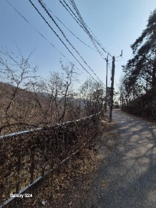 이건 부동산과 울타리