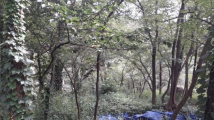 본건 목록6. 부동산(평창동 425-8)