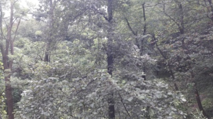 본건 목록8. 부동산(평창동 425-10)