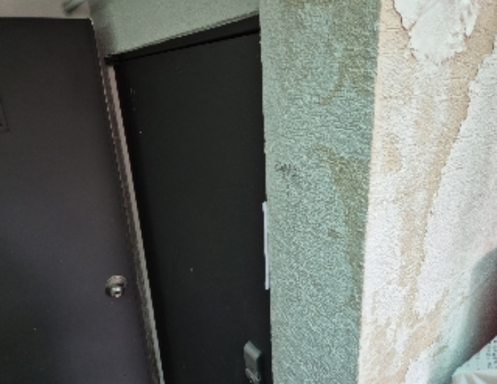 세대현관문(지층)