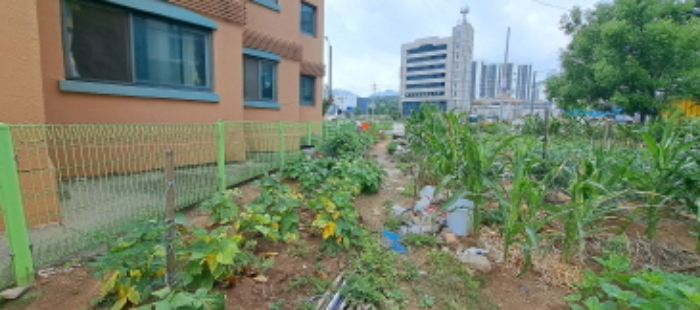 목록6 토지 전경1